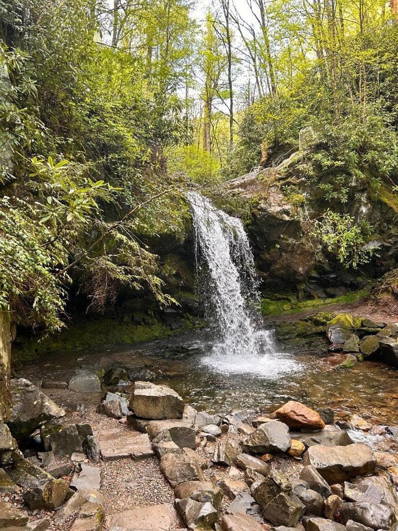 Emerald Woods Pigeon Forge Ngoại thất bức ảnh